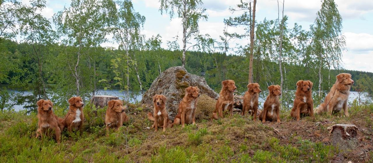 134--Ryhmäkuva_kansikuvaksi--Laura_Raekannas--main.jpg 134--Ryhmäkuva_kansikuvaksi--Laura_Raekannas--main.jpg