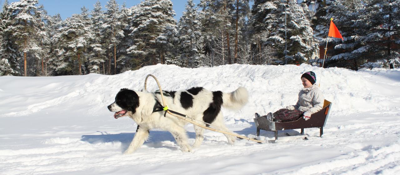 29.vallu2_kaisa_sormunen.jpg 29.vallu2_kaisa_sormunen.jpg