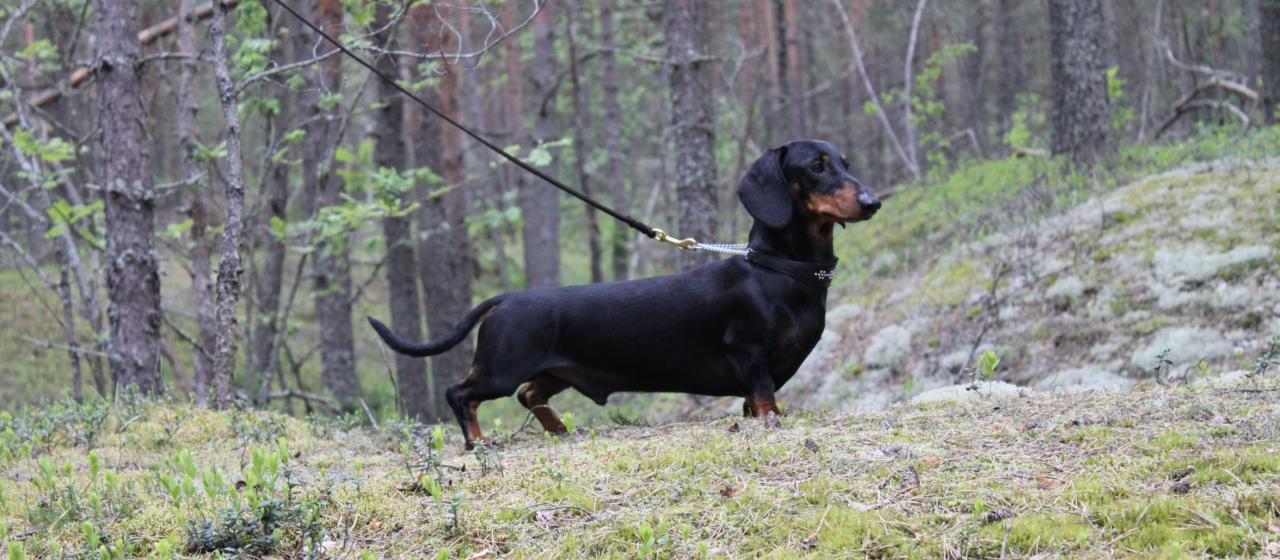 mayris_poseeraa_kuvaaja_ani_hamalainen.jpg mayris_poseeraa_kuvaaja_ani_hamalainen.jpg