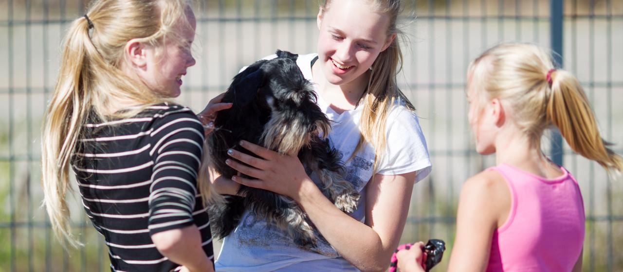 sylissa_jukkapatynen_2013.jpg sylissa_jukkapatynen_2013.jpg