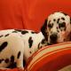 219--DSC05171.JPG