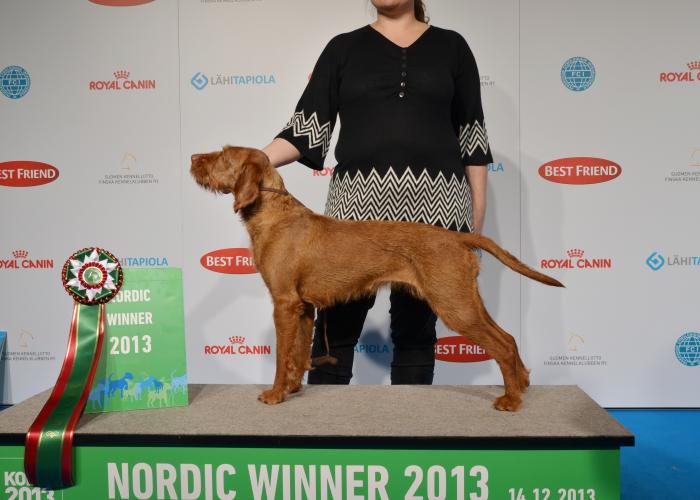 alli_nordic_winner_2013.jpg