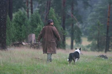 Mies ja koira metsässä